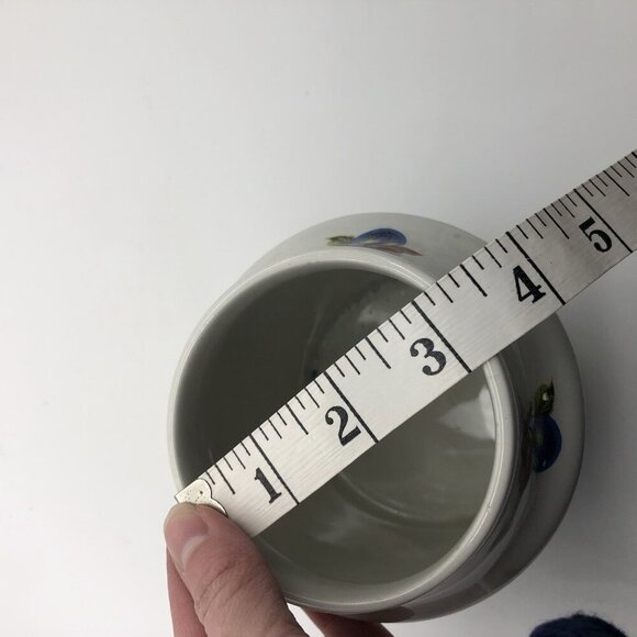 Vintage Ellgreave Genuine Ironstone Wood & Sons England Ceramic Tea Jar Fruit - Picture 6 of 10